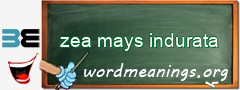 WordMeaning blackboard for zea mays indurata